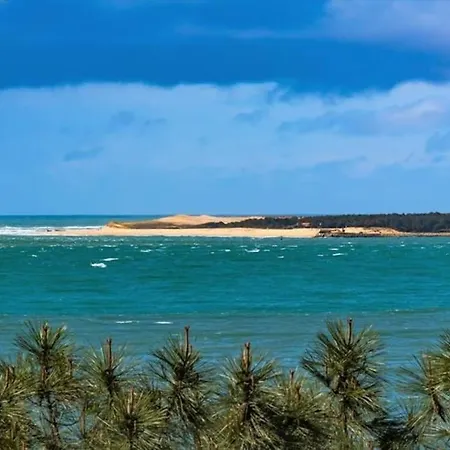 La Clairiere Villa Piscine Chauffee Et Boulodrome Proche Lac De Cazaux, Ocean , Plages De Pyla Et D Arcachon Et Dune Du Pilat Вилла Ла-Тест-де-Бюш