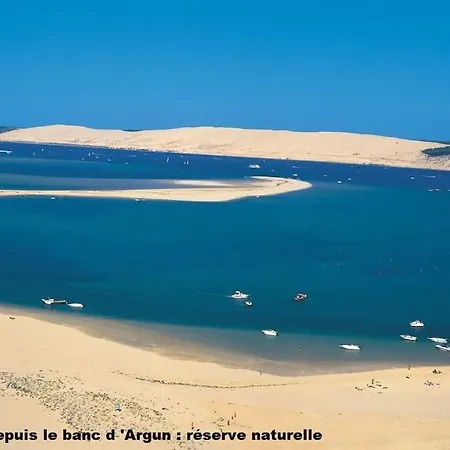 Grande Villa Piscine Chauffee Sur Le Bassin Proche Lac De Cazaux, Ocean , Plages D Arcachon Et Dune Du Pilat La Teste-de-Buch