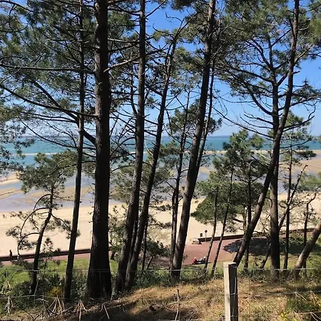 Piscine Chauffee Lac, Ocean, Plages Arcachon Villa *