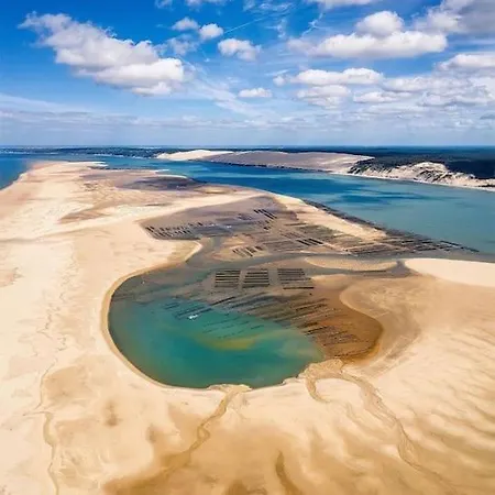 La Clairiere Villa Piscine Chauffee Et Boulodrome Proche Lac De Cazaux, Ocean , Plages De Pyla Et D Arcachon Et Dune Du Pilat Вилла