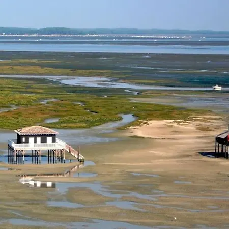Piscine Chauffee Lac, Ocean, Plages Arcachon