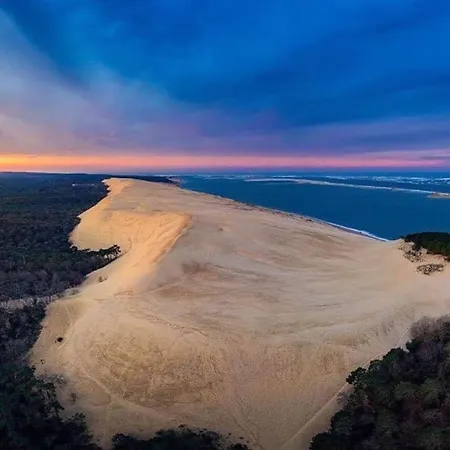 Villa Grande Villa Piscine Chauffee Sur Le Bassin Proche Lac De Cazaux, Ocean , Plages D Arcachon Et Dune Du Pilat