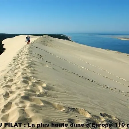 Villa Piscine Chauffee Lac, Ocean, Plages Arcachon