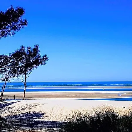 Villa Piscine Chauffee Lac, Ocean, Plages Arcachon *