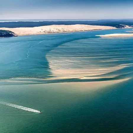 Вилла La Clairiere Villa Piscine Chauffee Et Boulodrome Proche Lac De Cazaux, Ocean , Plages De Pyla Et D Arcachon Et Dune Du Pilat