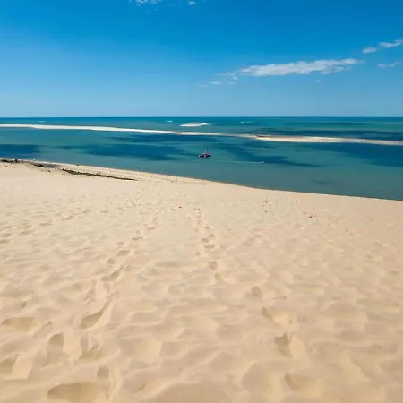 La Clairiere Villa Piscine Chauffee Et Boulodrome Proche Lac De Cazaux, Ocean , Plages De Pyla Et D Arcachon Et Dune Du Pilat Ла-Тест-де-Бюш